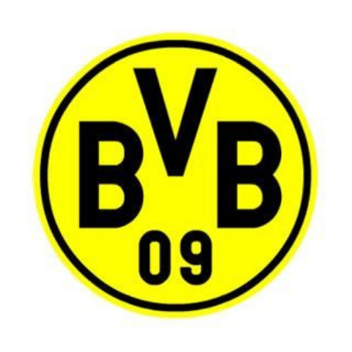 Lees meer over het artikel Dortmund sweatpak