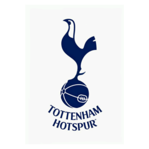 Lees meer over het artikel Tottenham Hotspur sweatpak